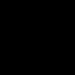 Meet your Posher, Boris